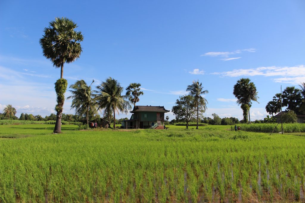 Cambodian Countryside