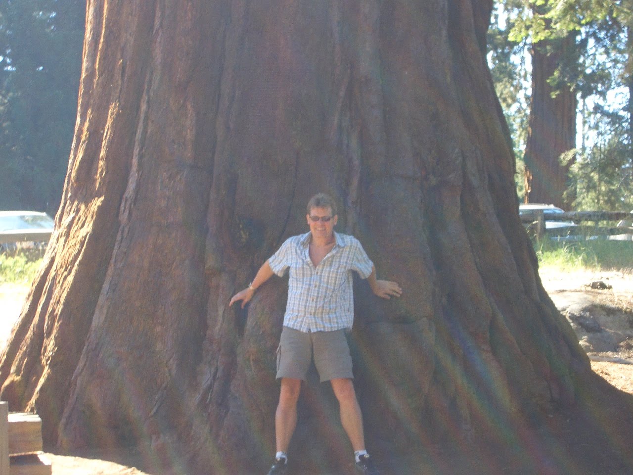 Bernd vor Sequoia 2